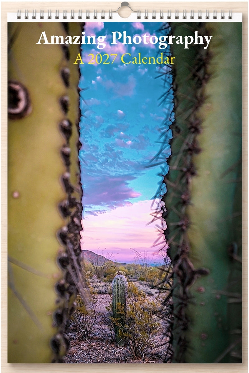 Amazing Photography: A 2027 Calendar