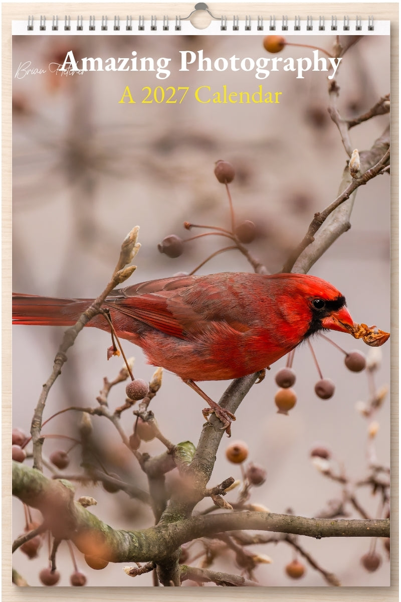 Amazing Photography: A 2027 Calendar