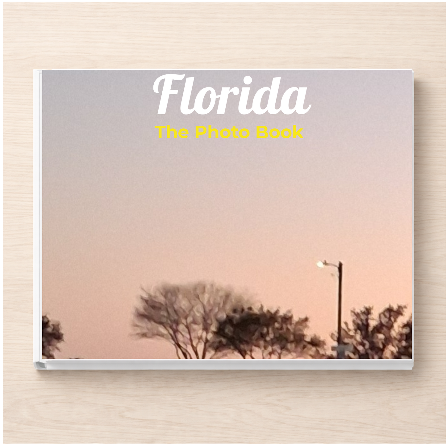 Florida: The Photo Book