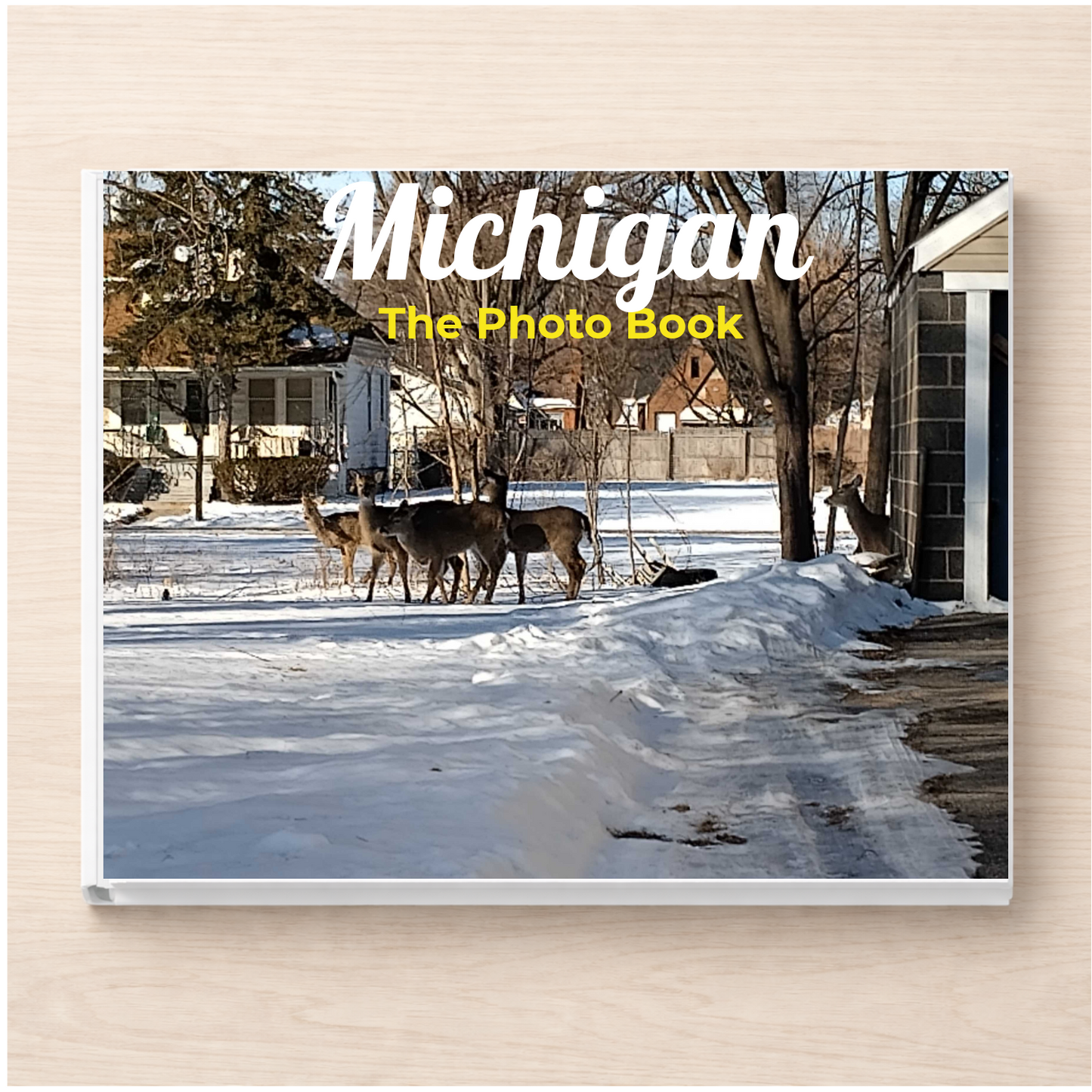 Michigan: The Photo Book