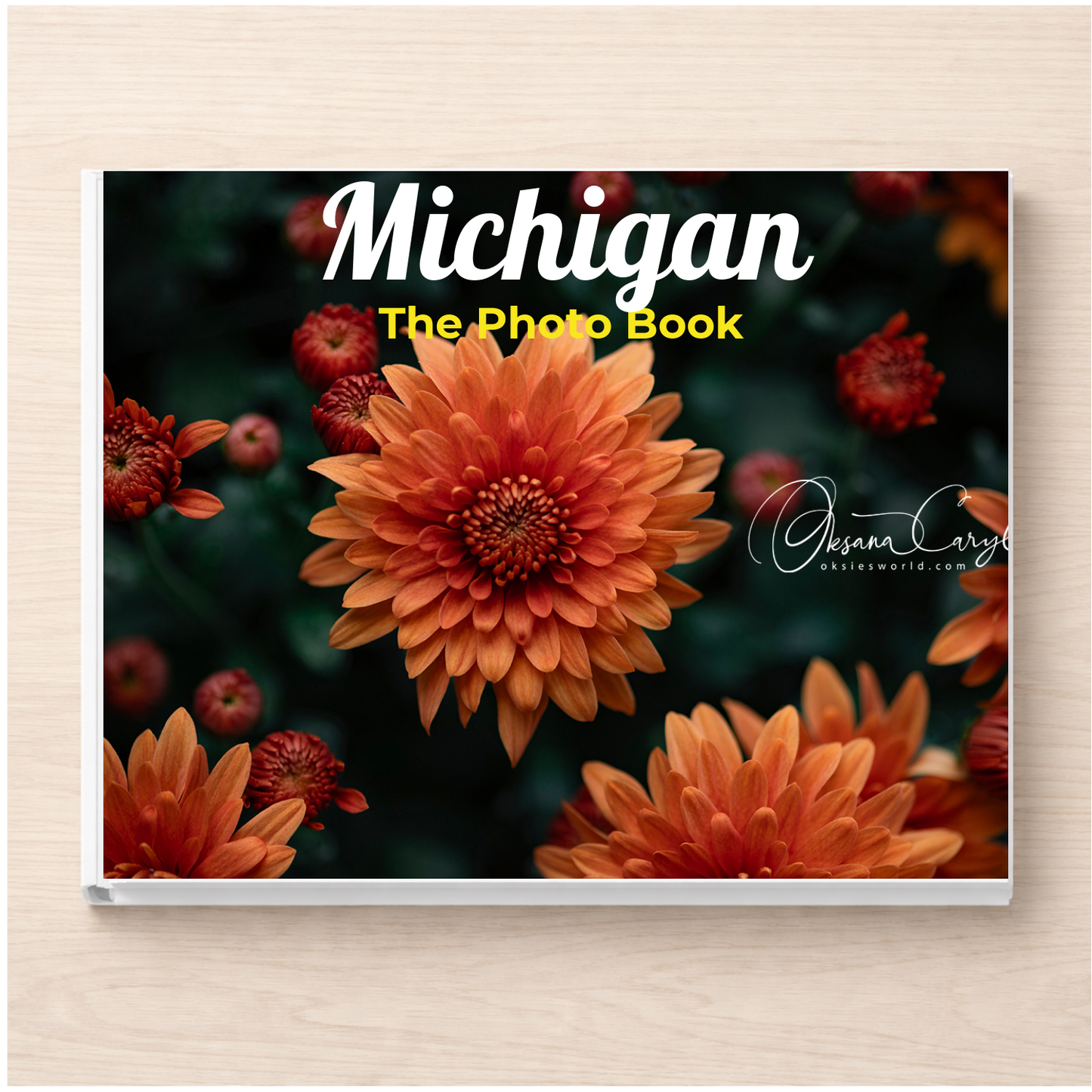 Michigan: The Photo Book
