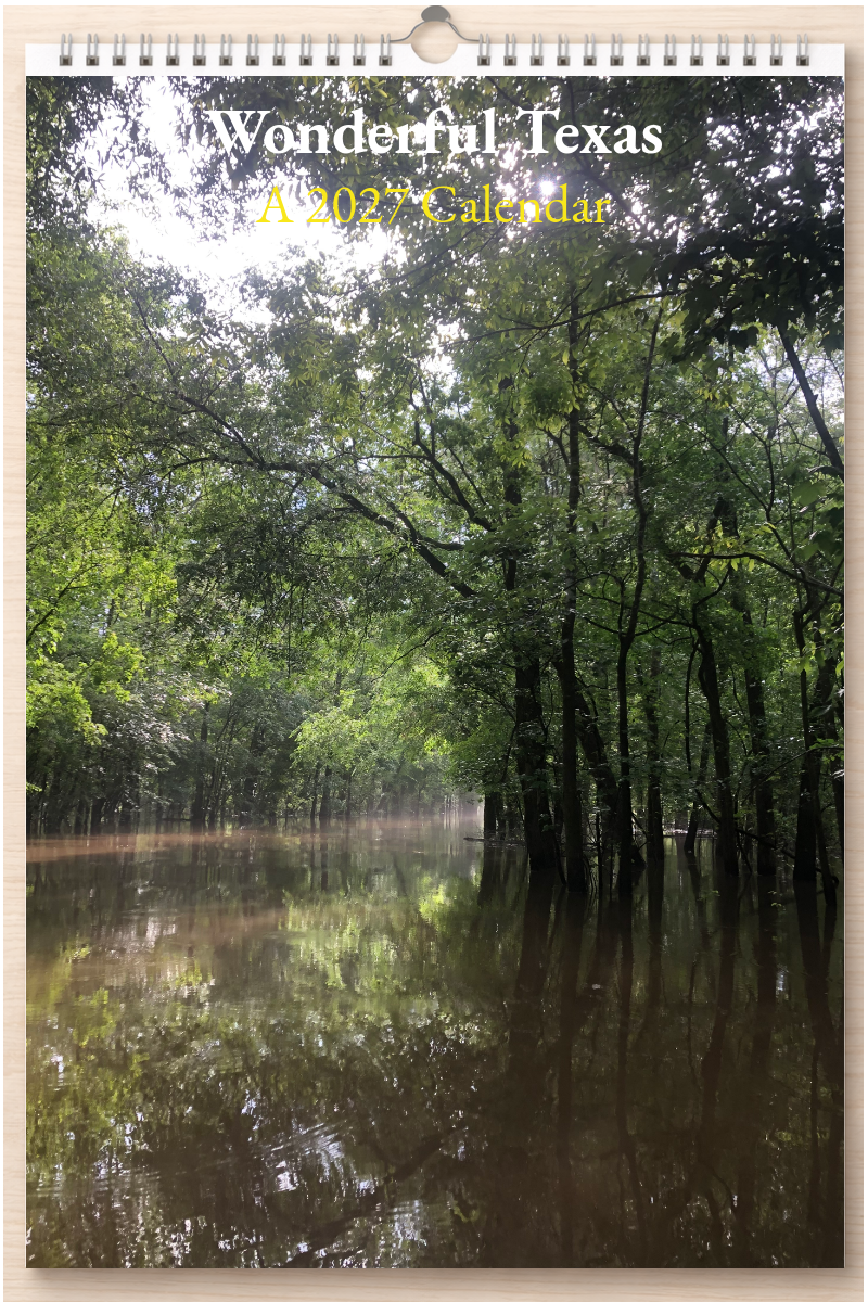 Wonderful Texas: A 2027 Calendar