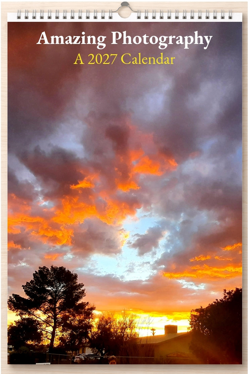 Amazing Photography: A 2027 Calendar