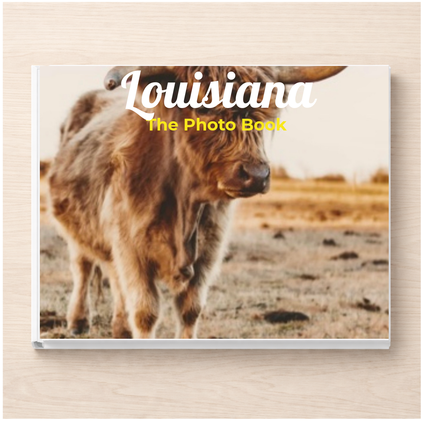 Louisiana: The Photo Book