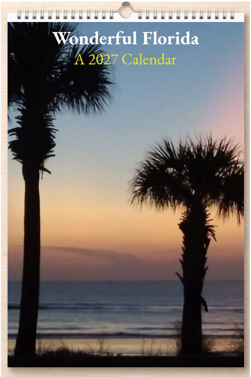 Wonderful Florida: A 2027 Calendar
