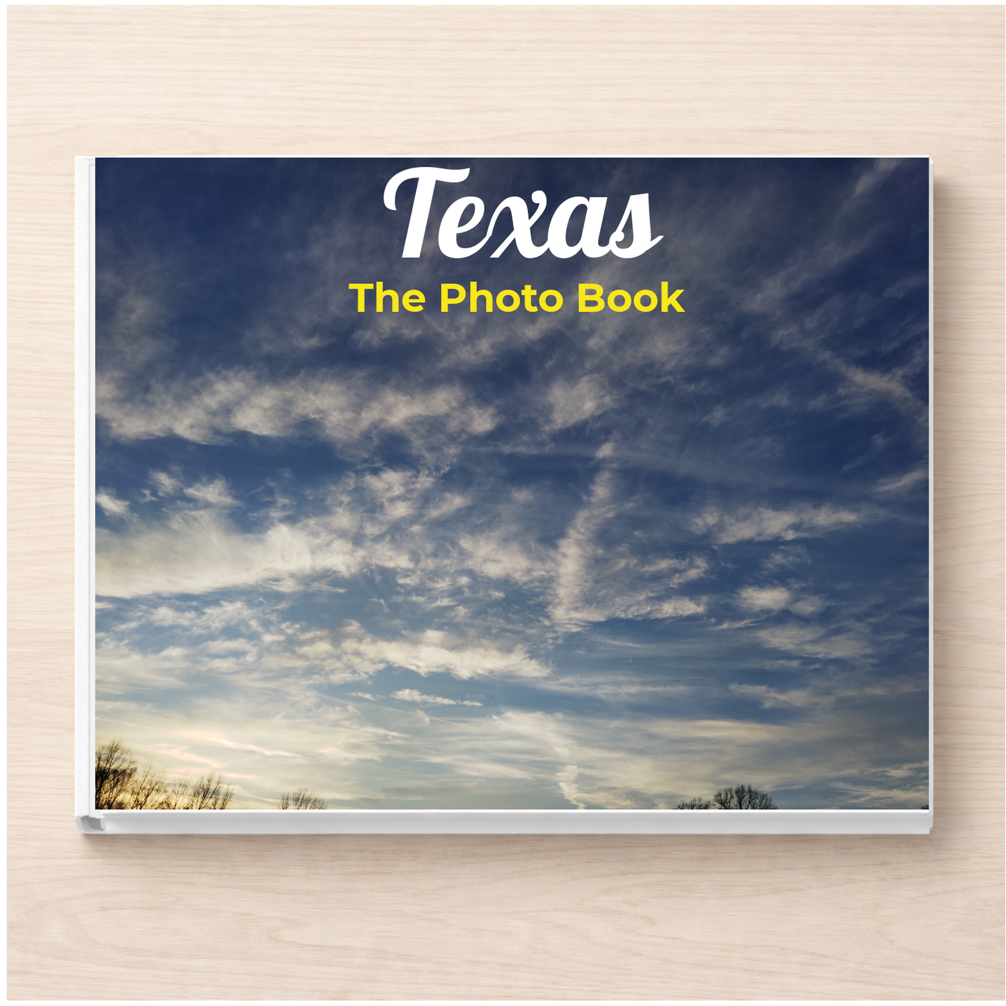 Texas: The Photo Book
