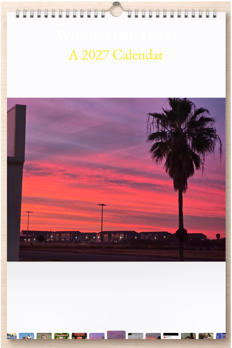 Wonderful Texas: A 2027 Calendar