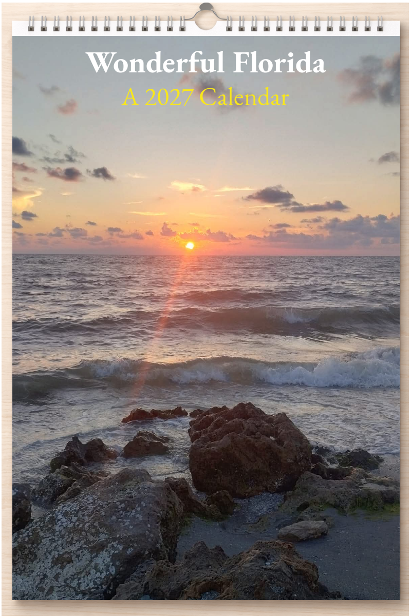 Wonderful Florida: A 2027 Calendar