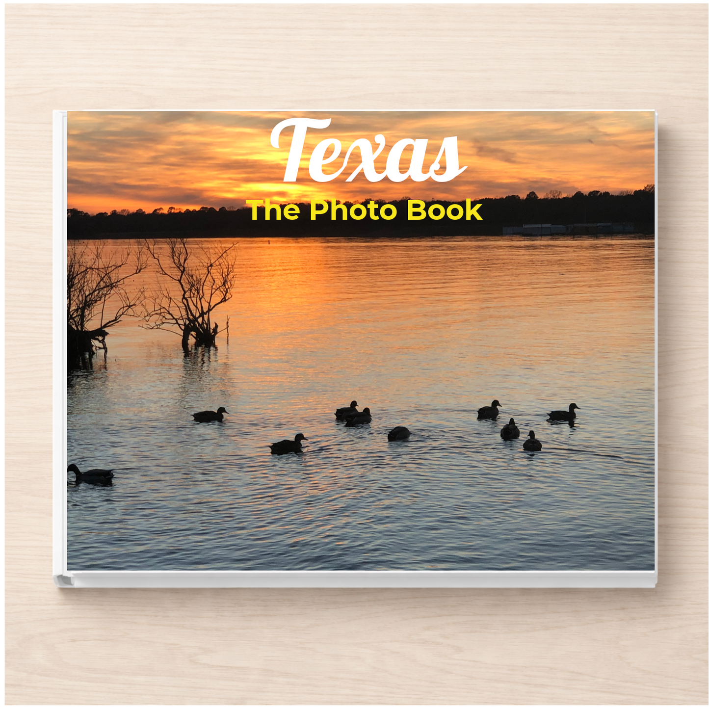 Texas: The Photo Book