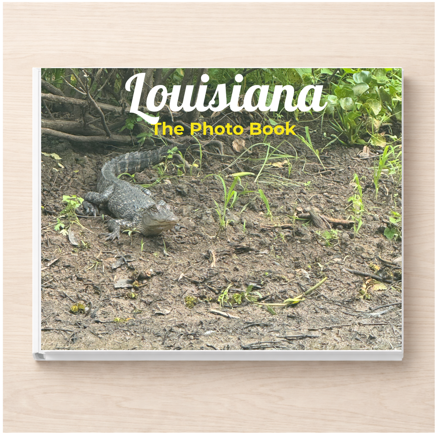 Louisiana: The Photo Book