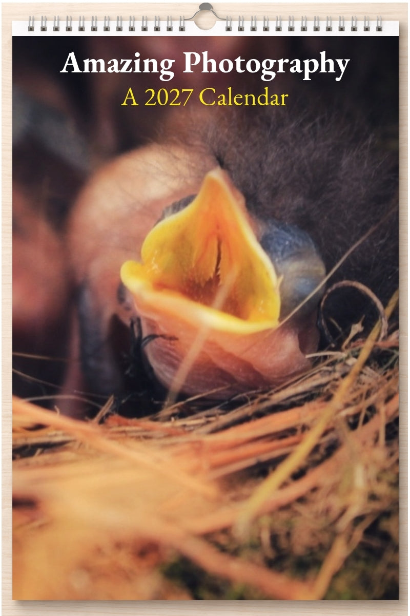 Amazing Photography: A 2027 Calendar
