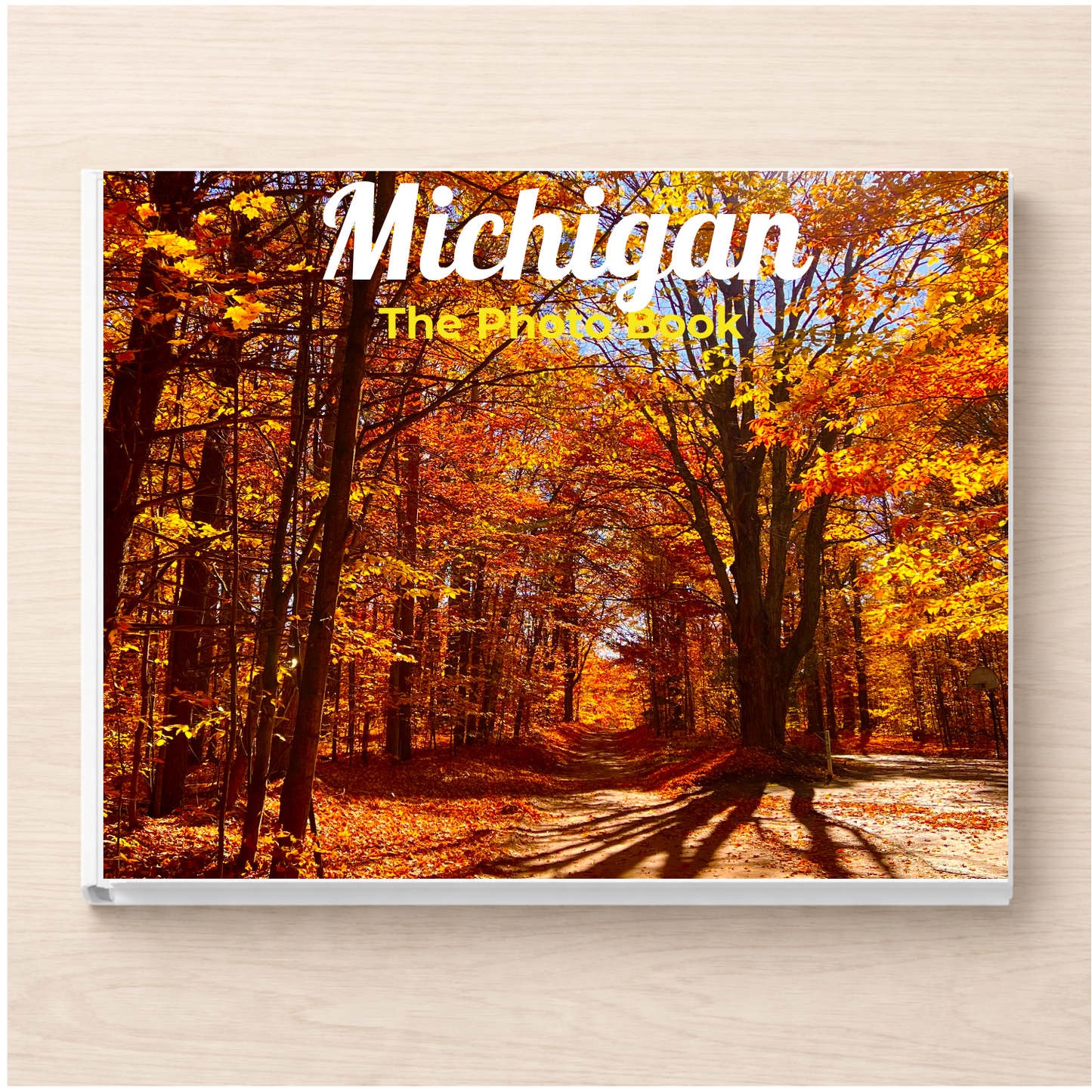 Michigan: The Photo Book