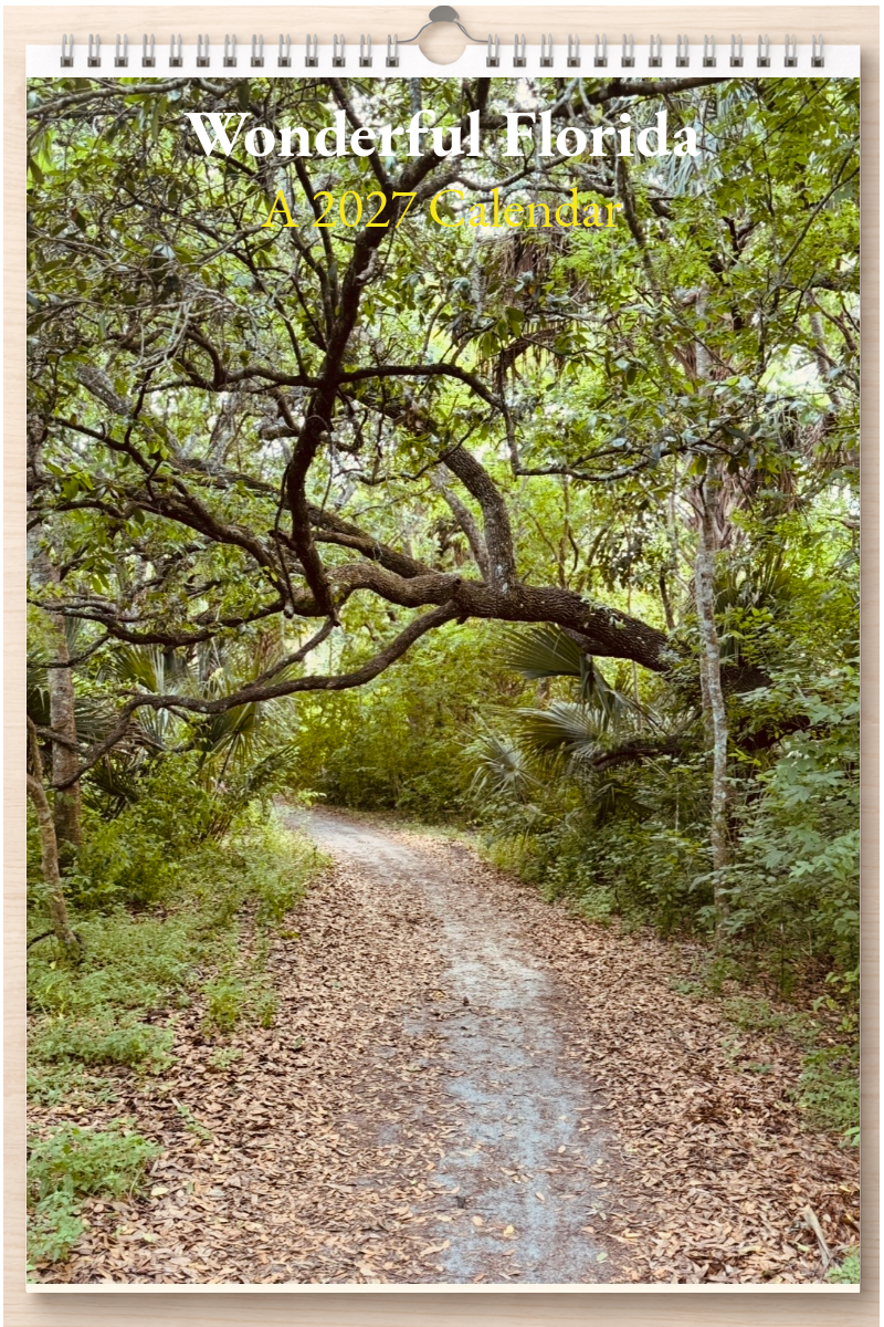 Wonderful Florida: A 2027 Calendar