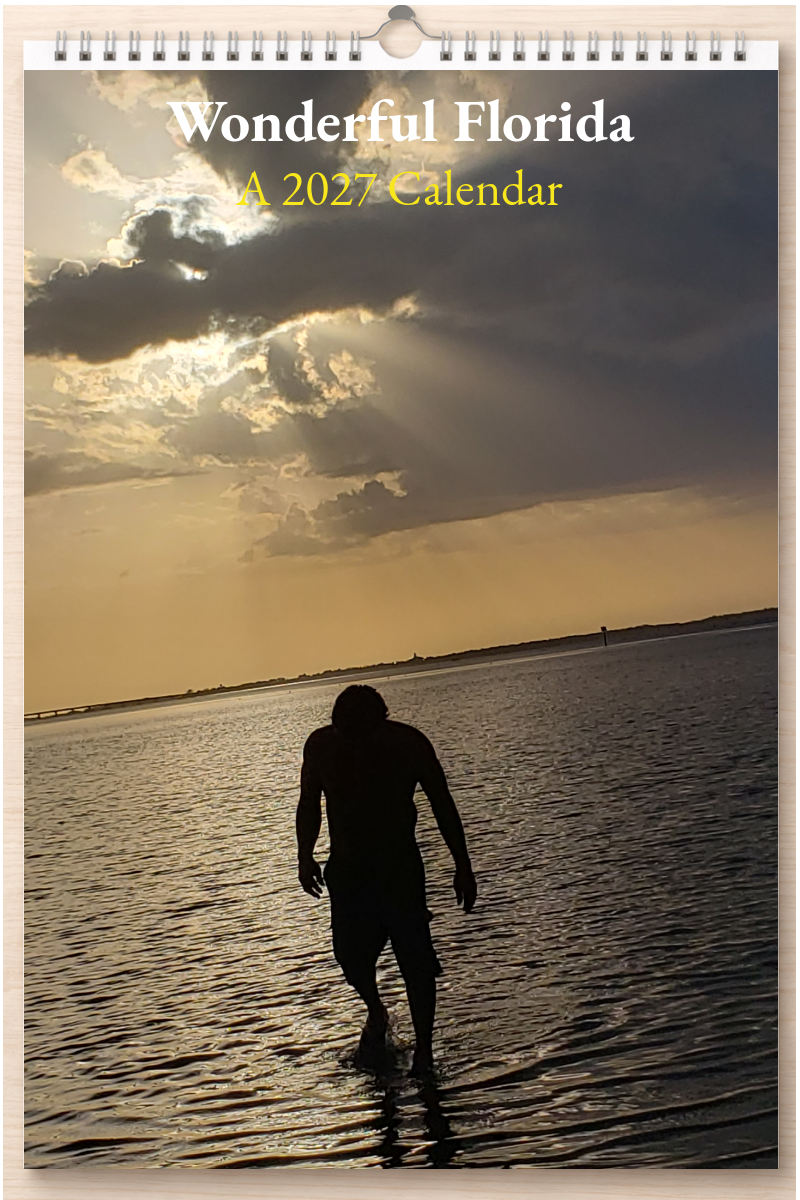 Wonderful Florida: A 2027 Calendar