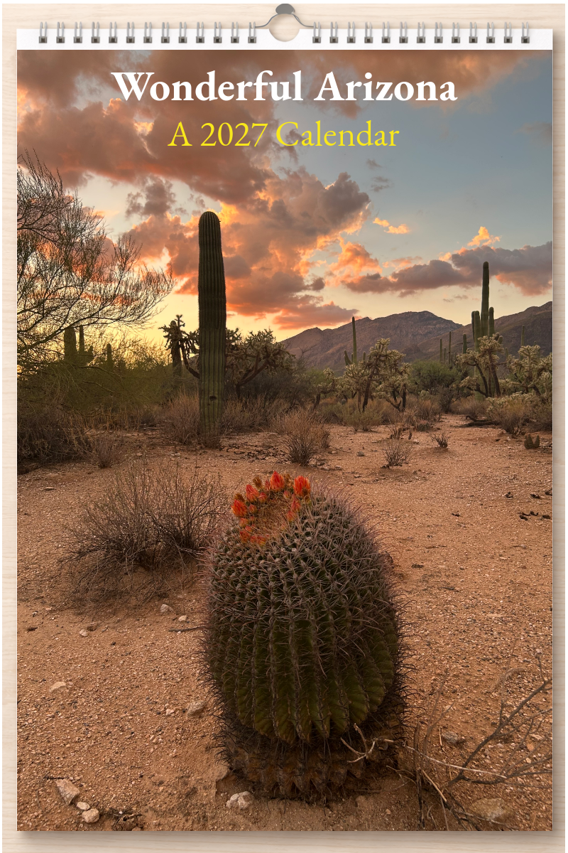 Wonderful Arizona: A 2027 Calendar