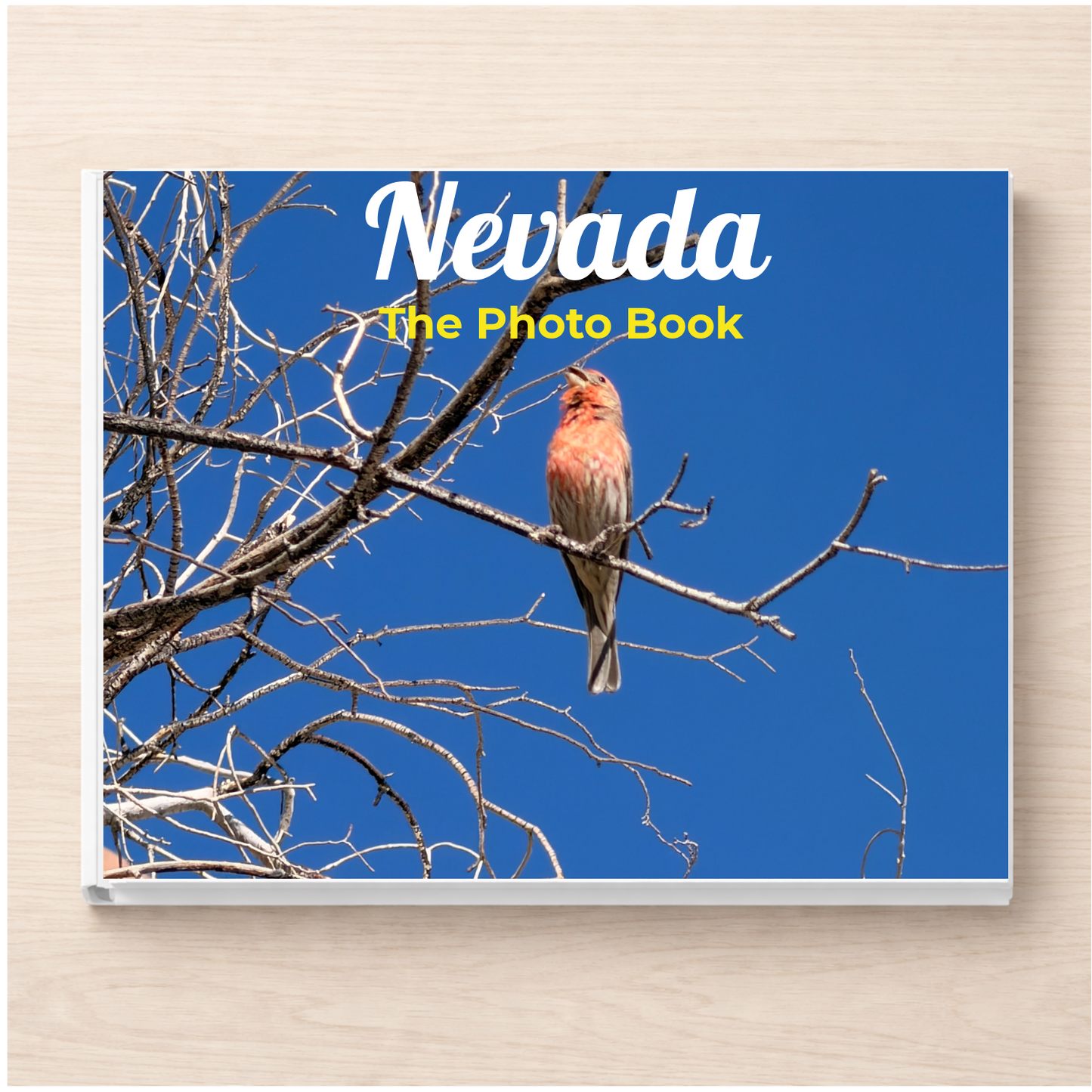 Nevada: The Photo Book