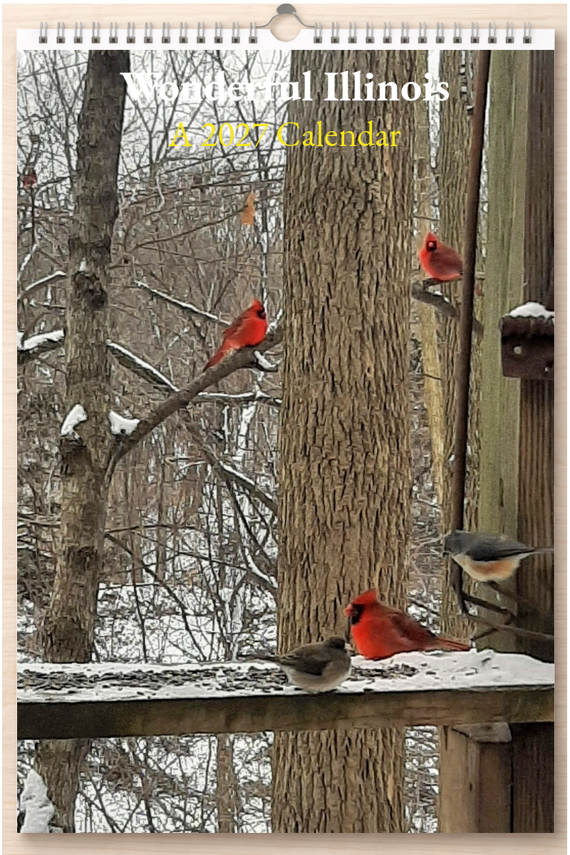 Wonderful Illinois: A 2027 Calendar