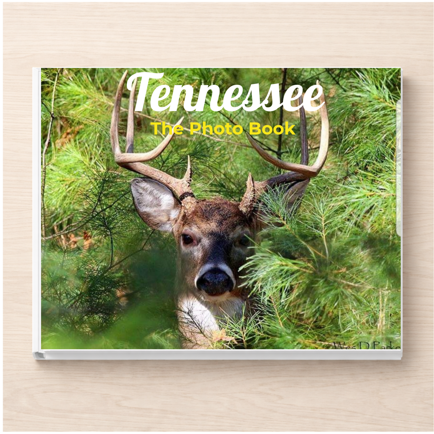 Tennessee: The Photo Book