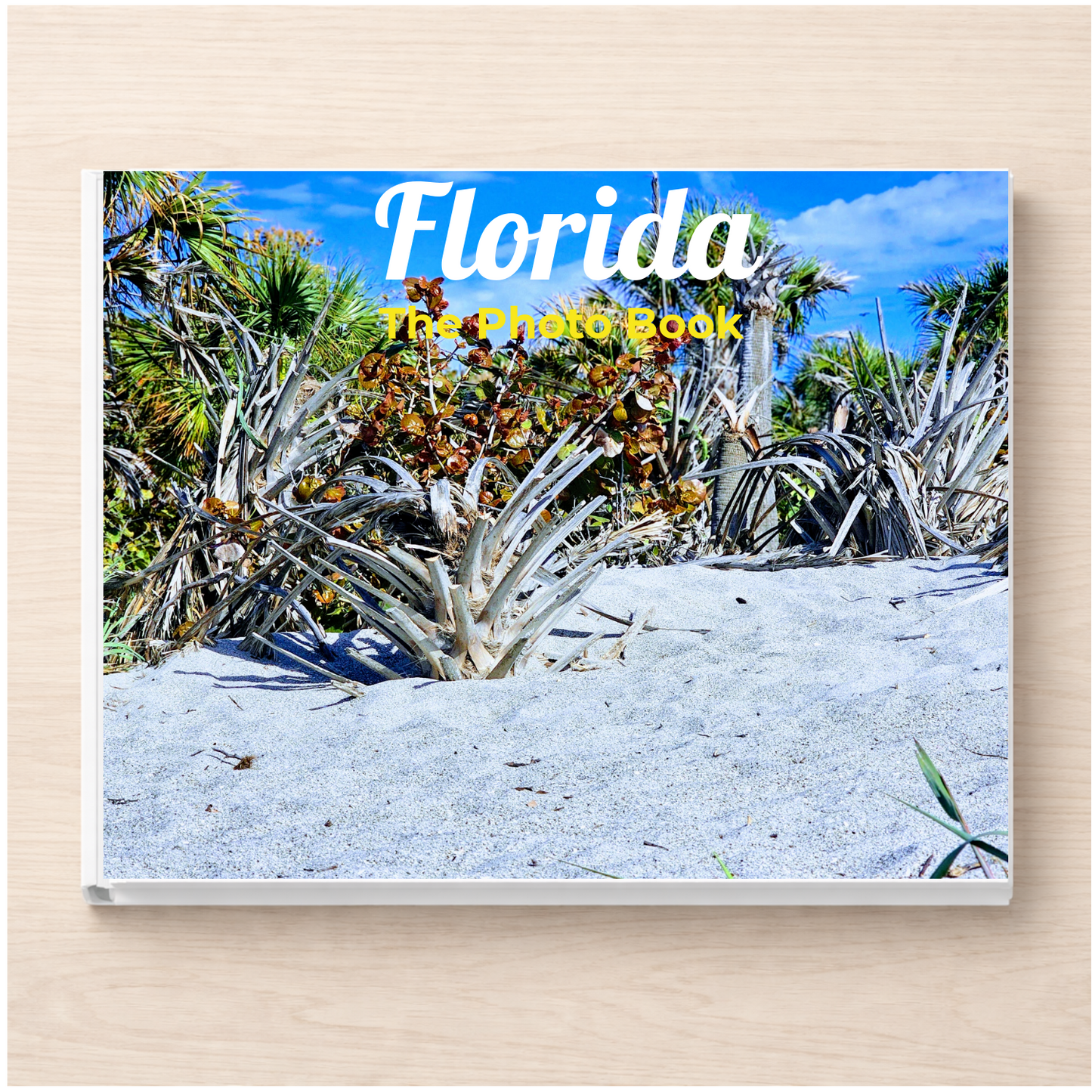 Florida: The Photo Book
