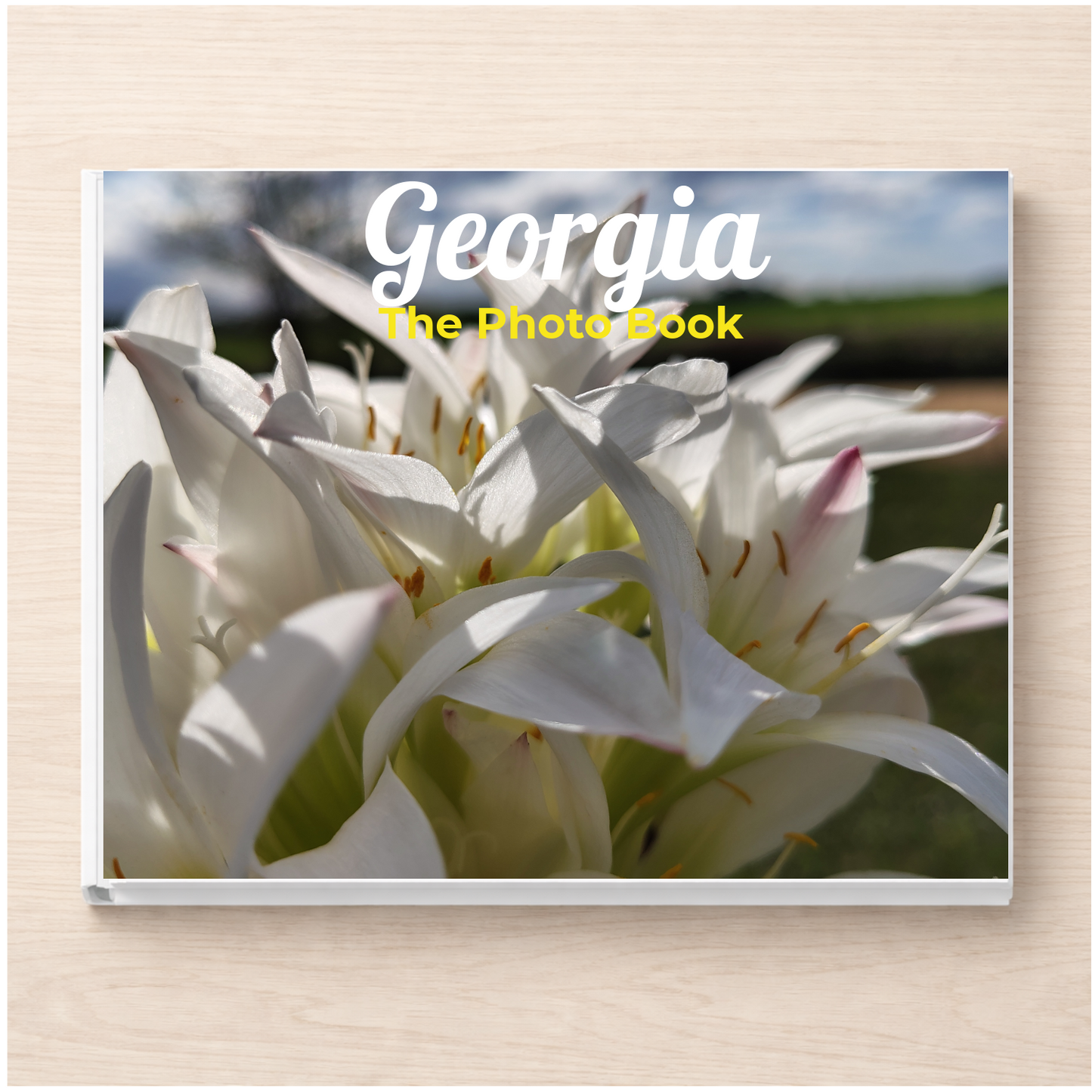 Georgia: The Photo Book