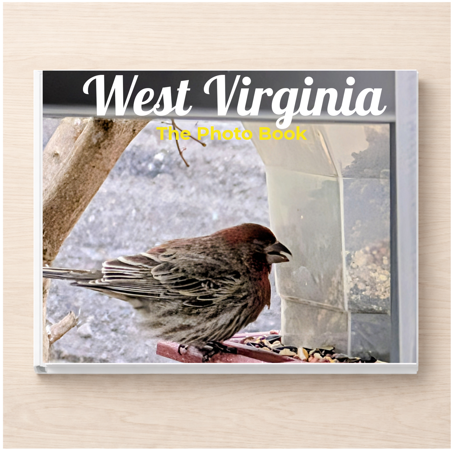 West Virginia: The Photo Book