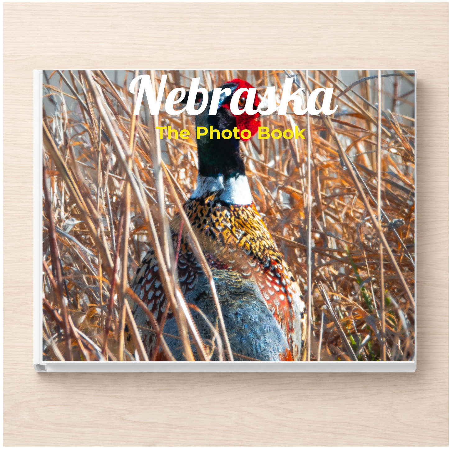 Nebraska: The Photo Book