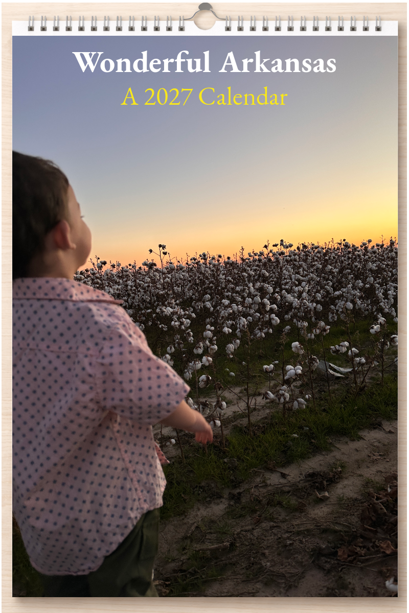 Wonderful Arkansas: A 2027 Calendar