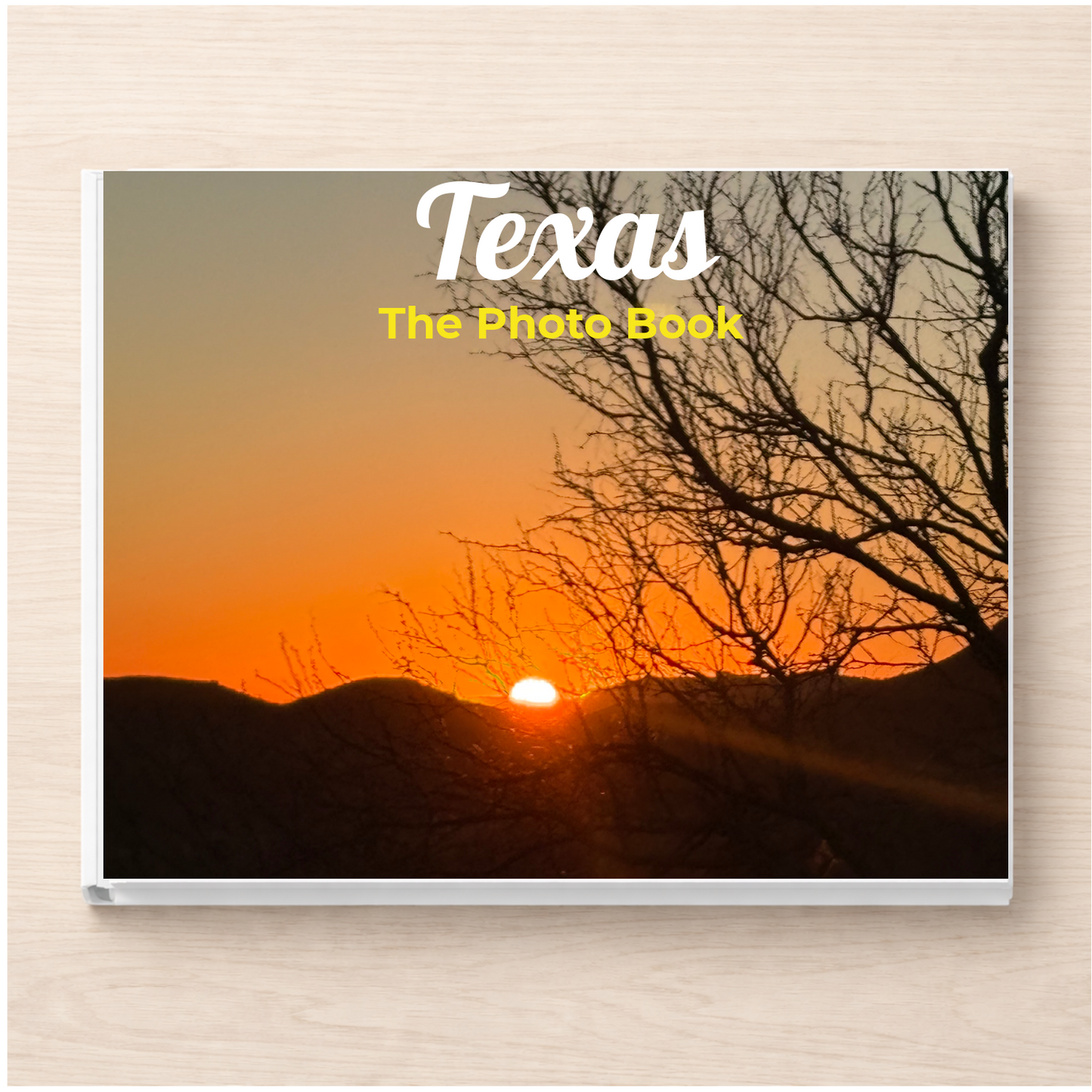 Texas: The Photo Book
