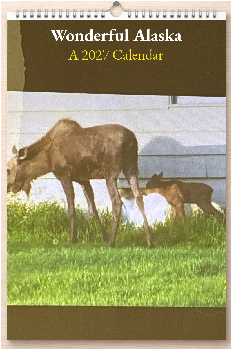 Wonderful Alaska: A 2027 Calendar