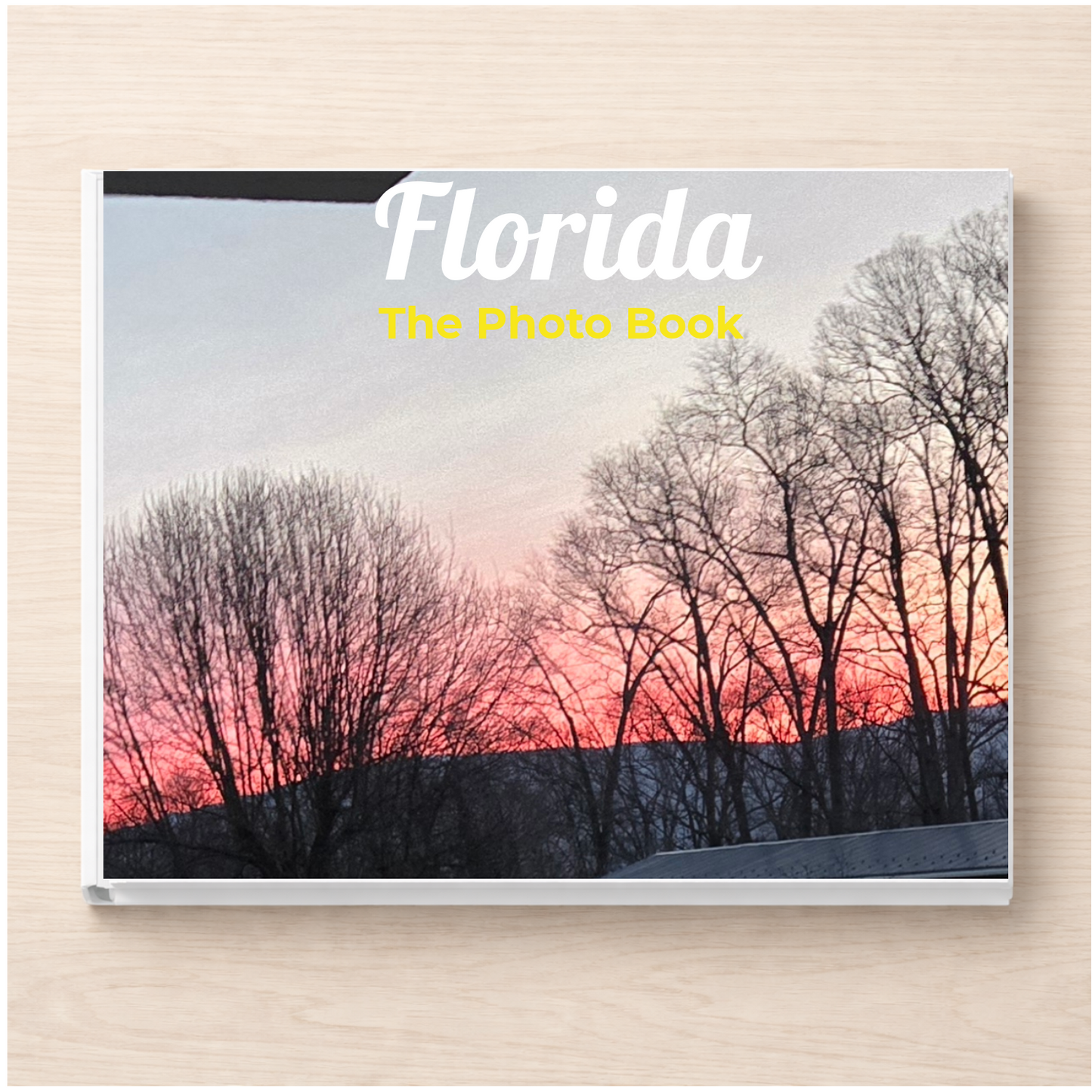 Florida: The Photo Book