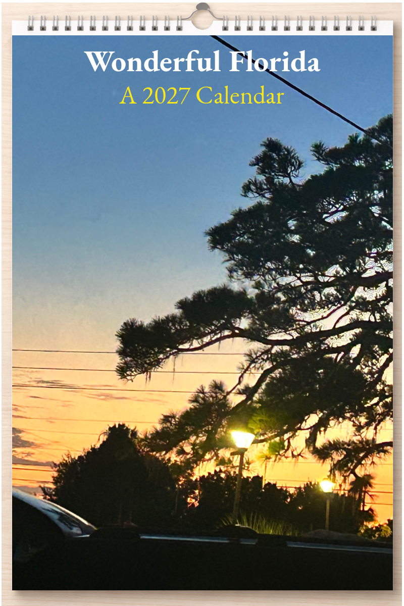 Wonderful Florida: A 2027 Calendar