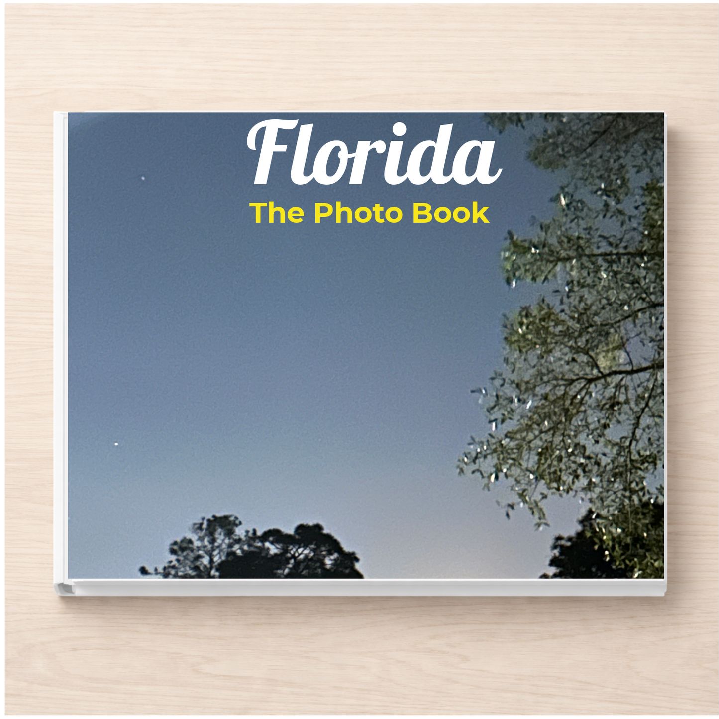 Florida: The Photo Book