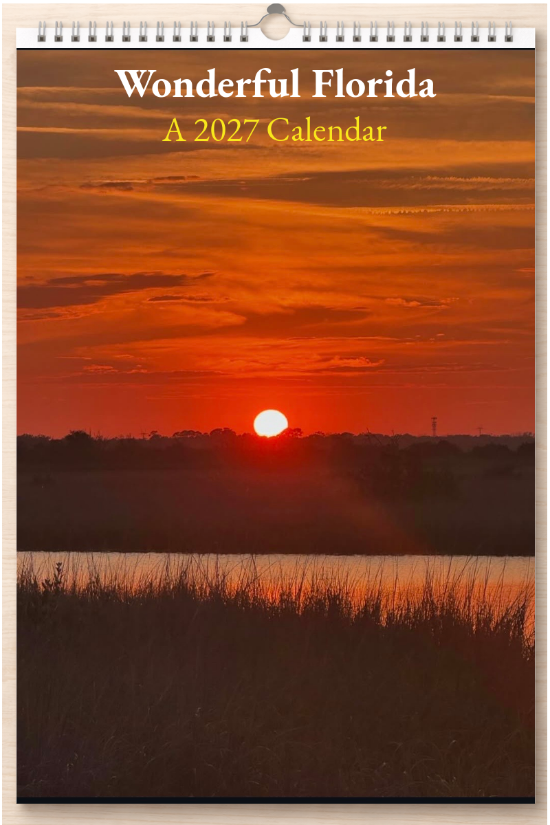Wonderful Florida: A 2027 Calendar