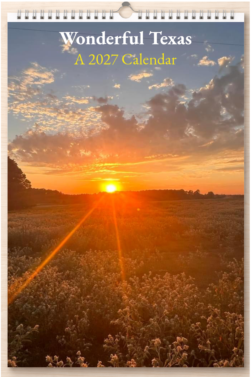 Wonderful Texas: A 2027 Calendar