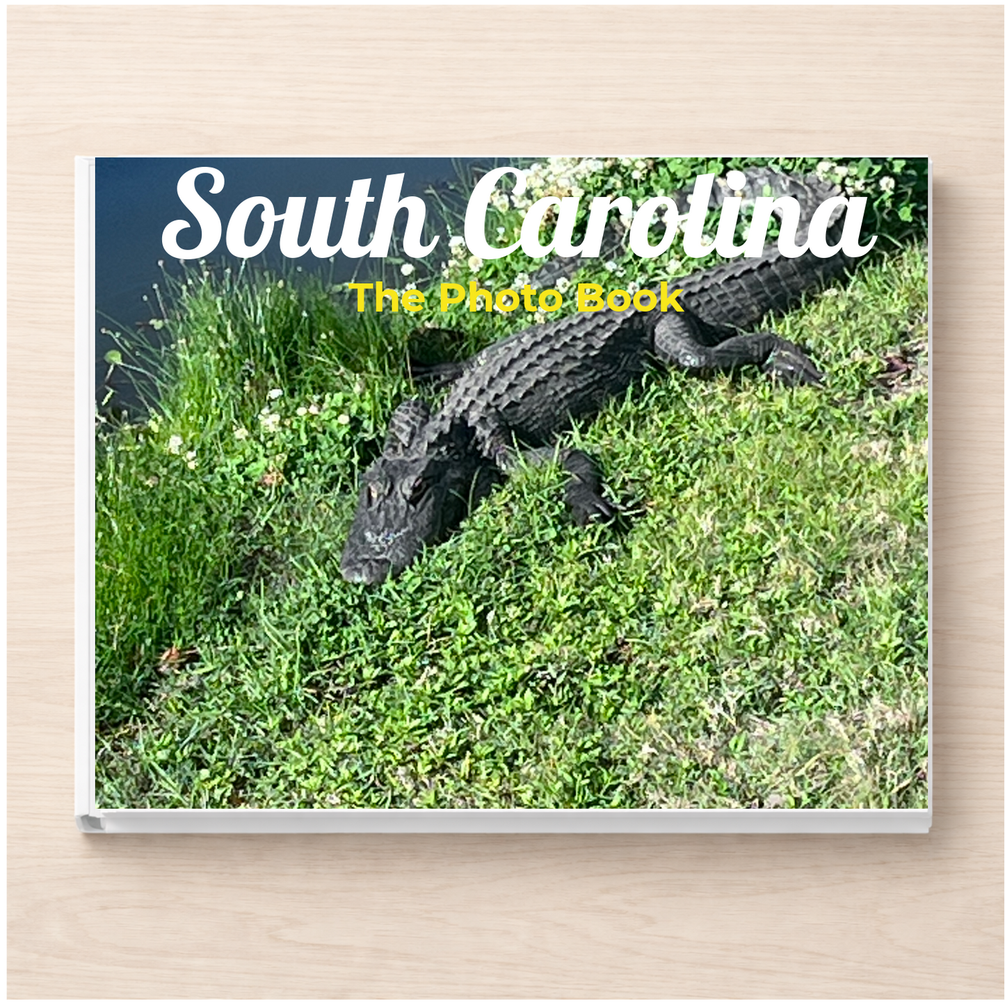 South Carolina: The Photo Book