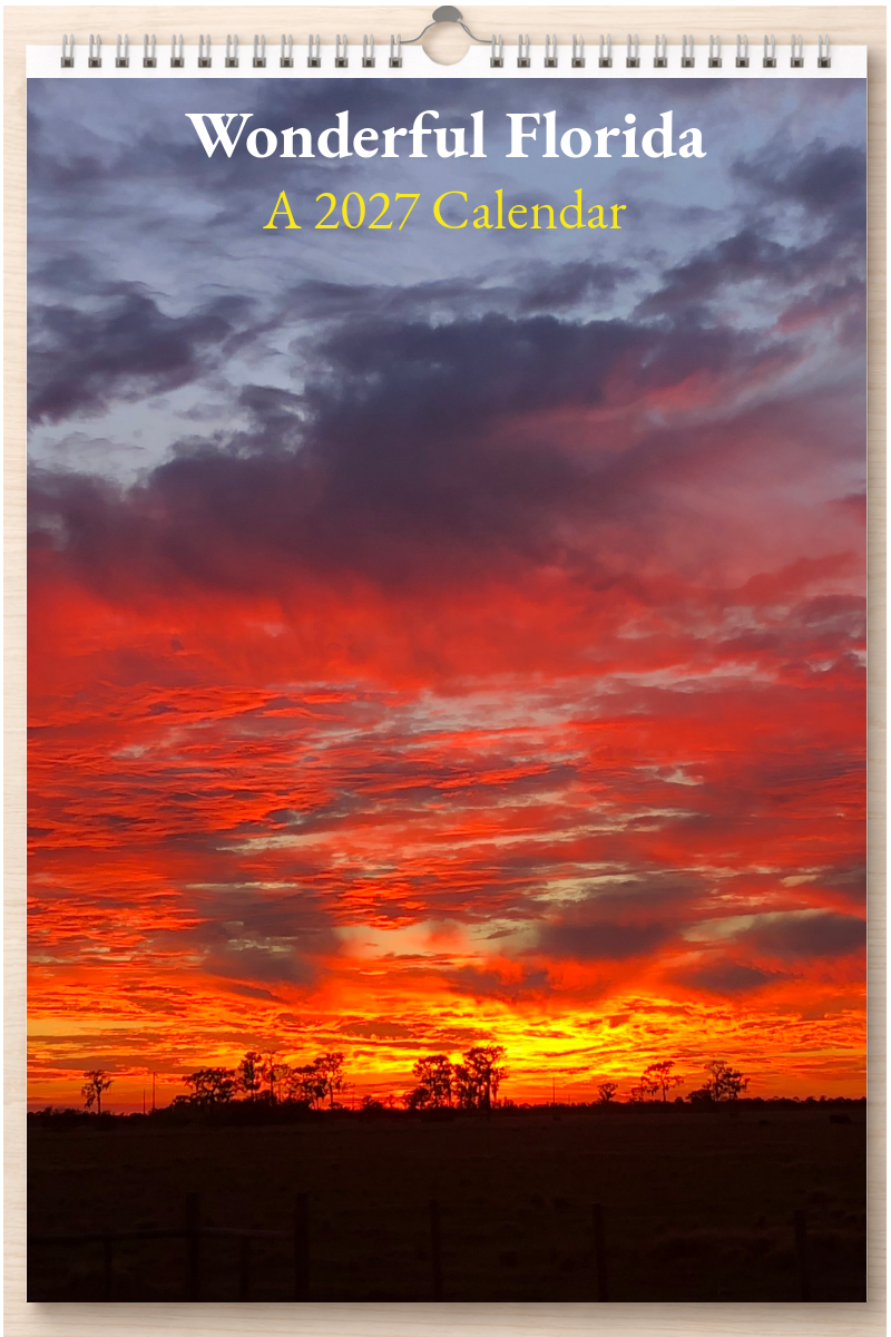 Wonderful Florida: A 2027 Calendar