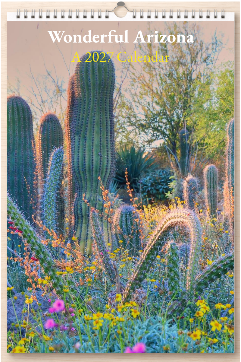 Wonderful Arizona: A 2027 Calendar