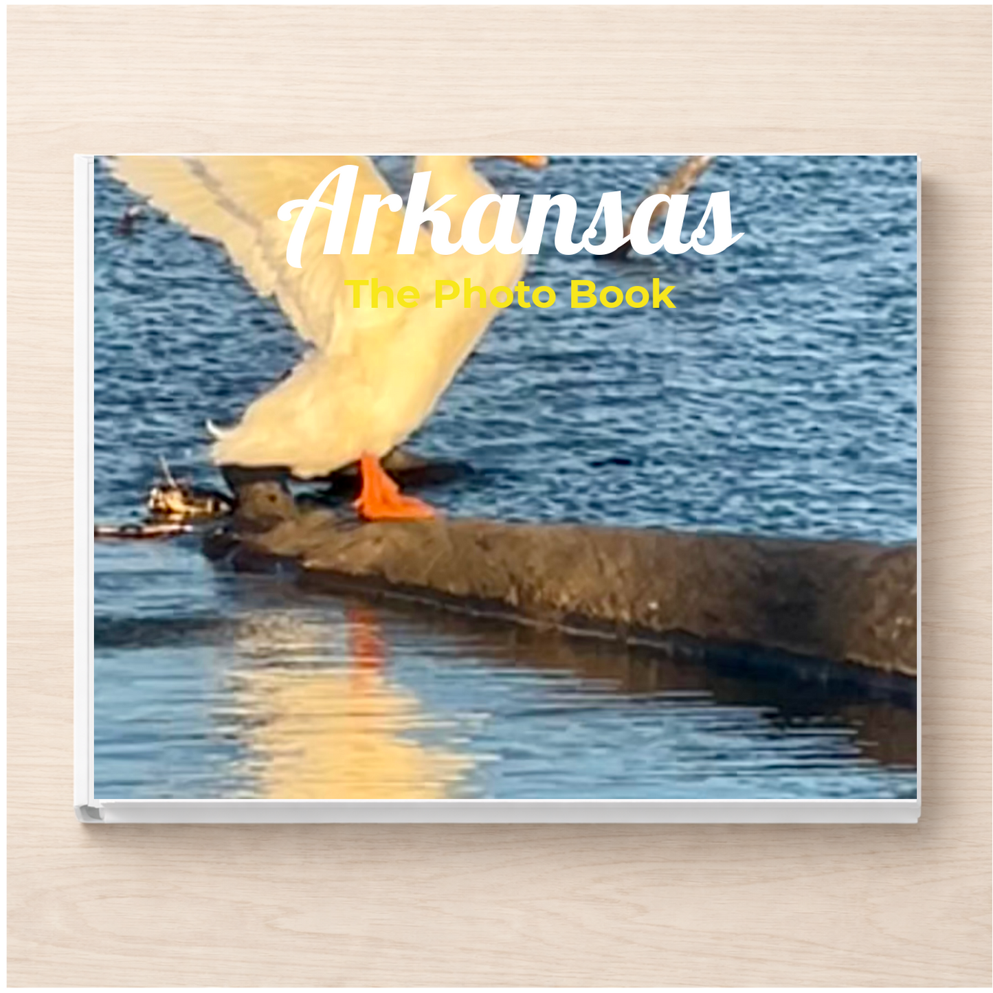 Arkansas: The Photo Book