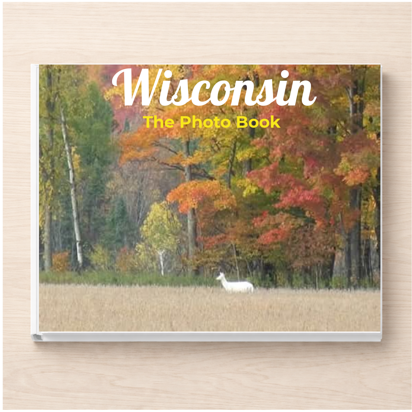 Wisconsin: The Photo Book