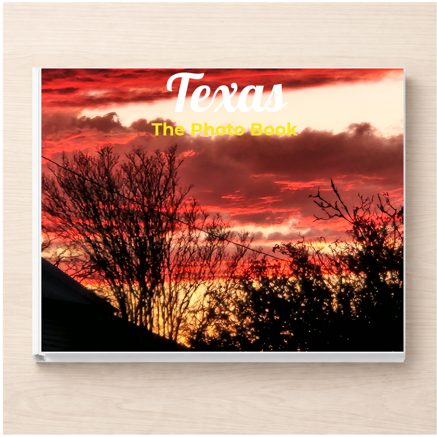 Texas: The Photo Book