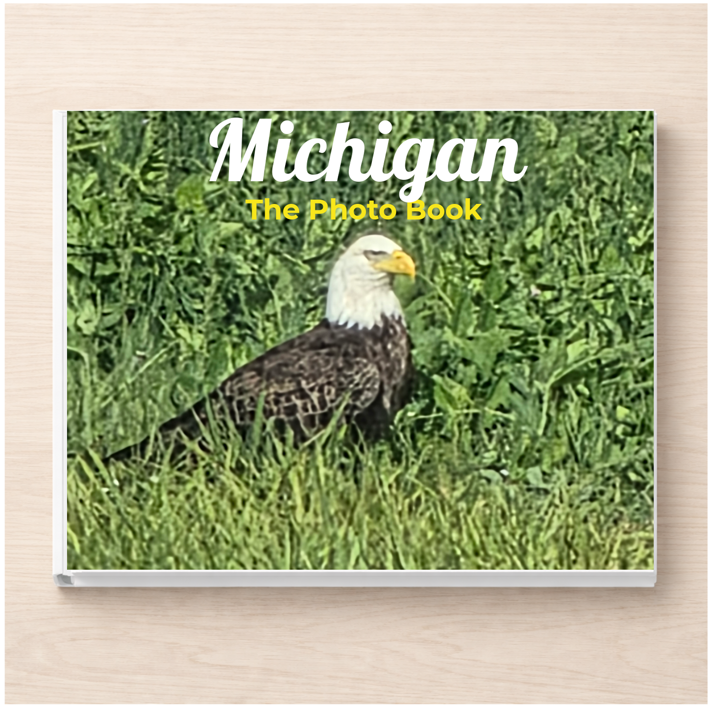 Michigan: The Photo Book