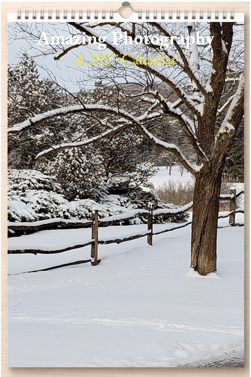 Amazing Photography: A 2027 Calendar