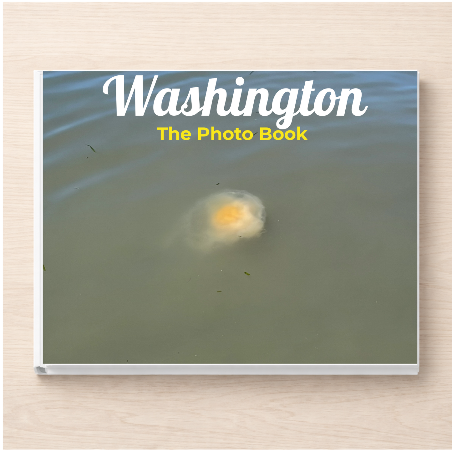 Washington: The Photo Book