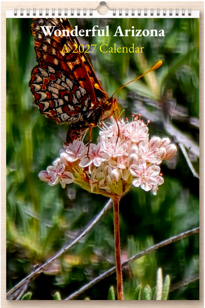 Wonderful Arizona: A 2027 Calendar