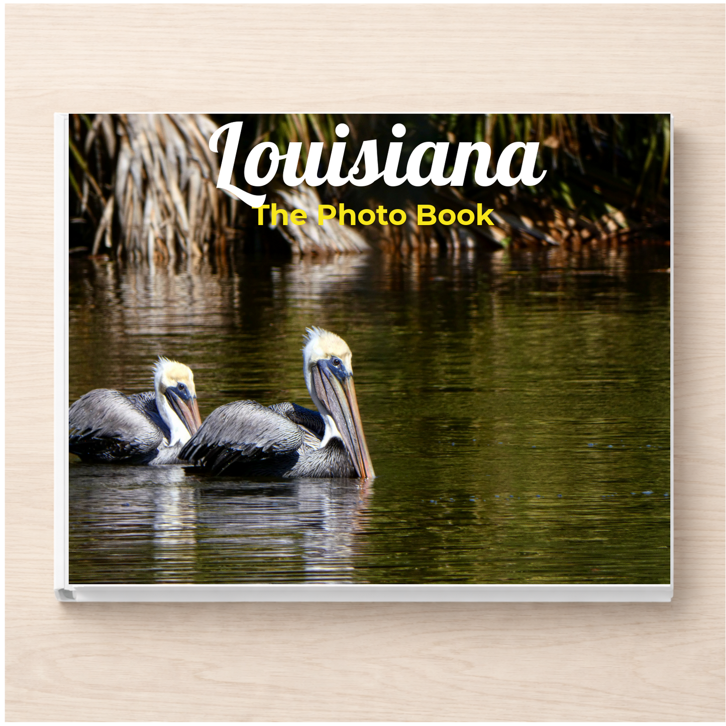 Louisiana: The Photo Book