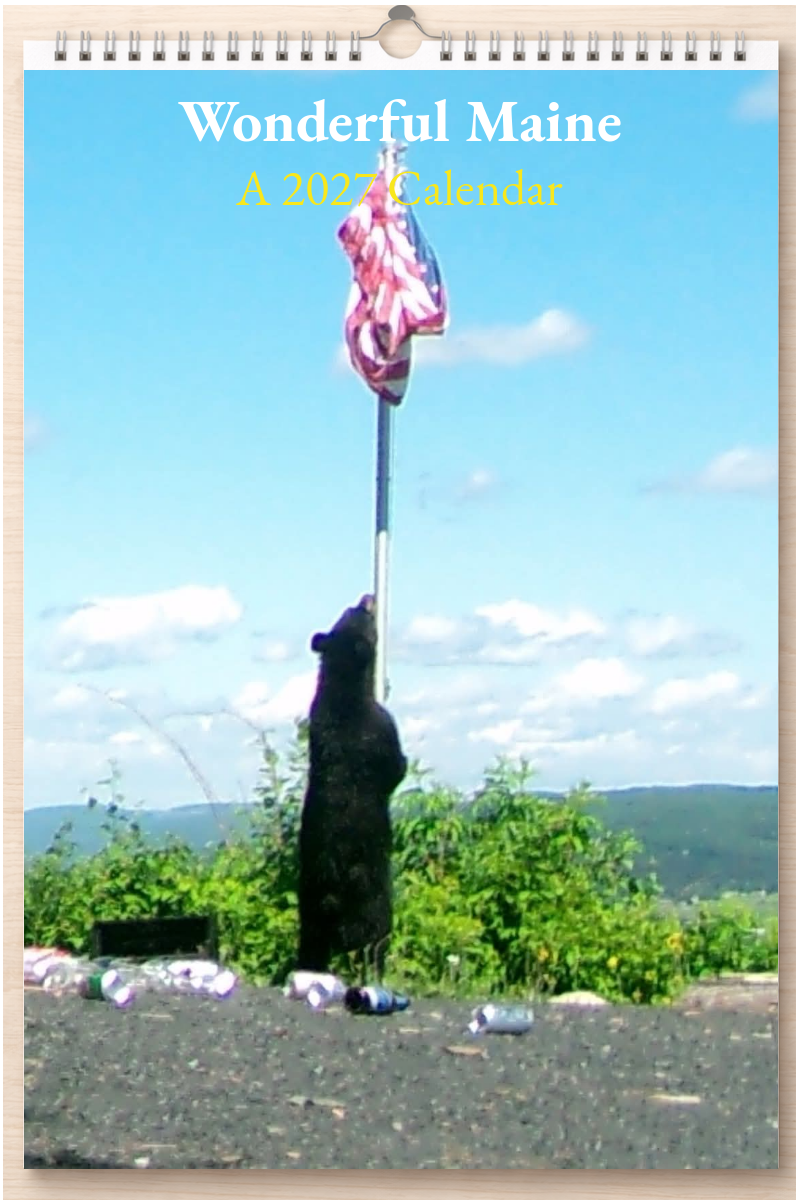 Wonderful Maine: A 2027 Calendar