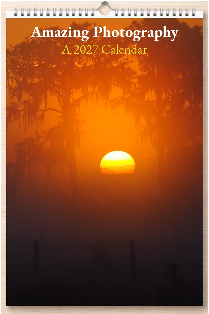 Amazing Photography: A 2027 Calendar