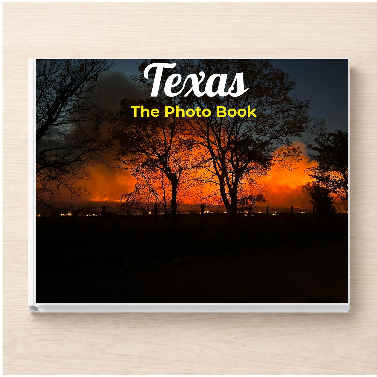 Texas: The Photo Book