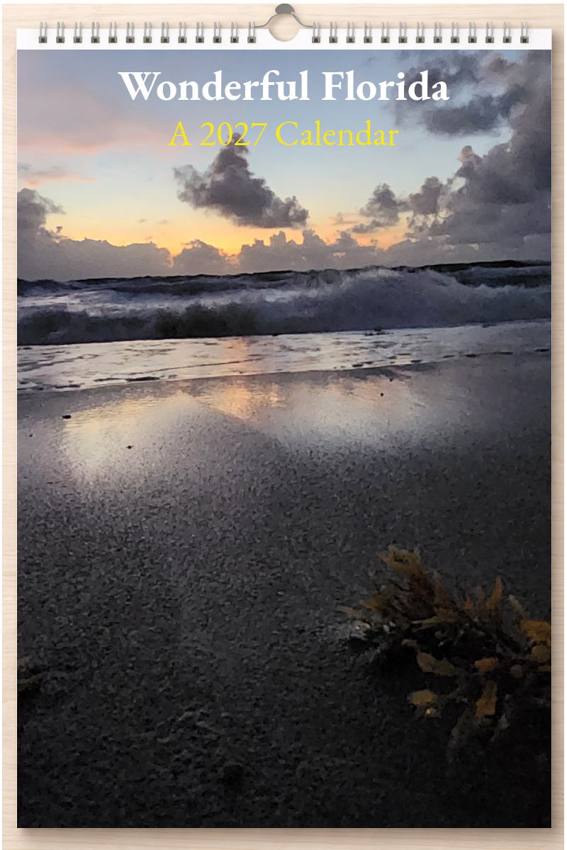 Wonderful Florida: A 2027 Calendar