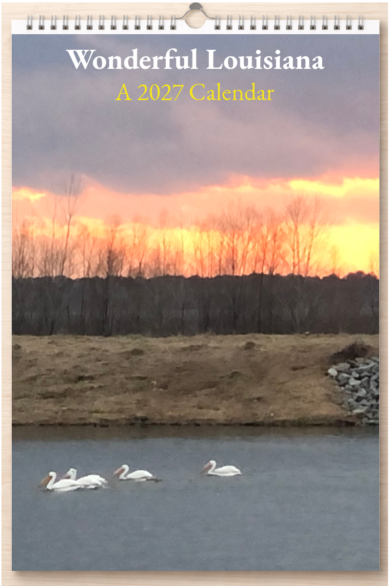 Wonderful Louisiana: A 2027 Calendar
